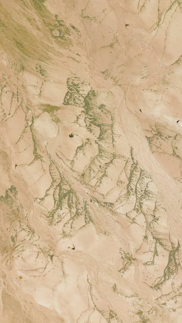 سوسيولوجيا المكان